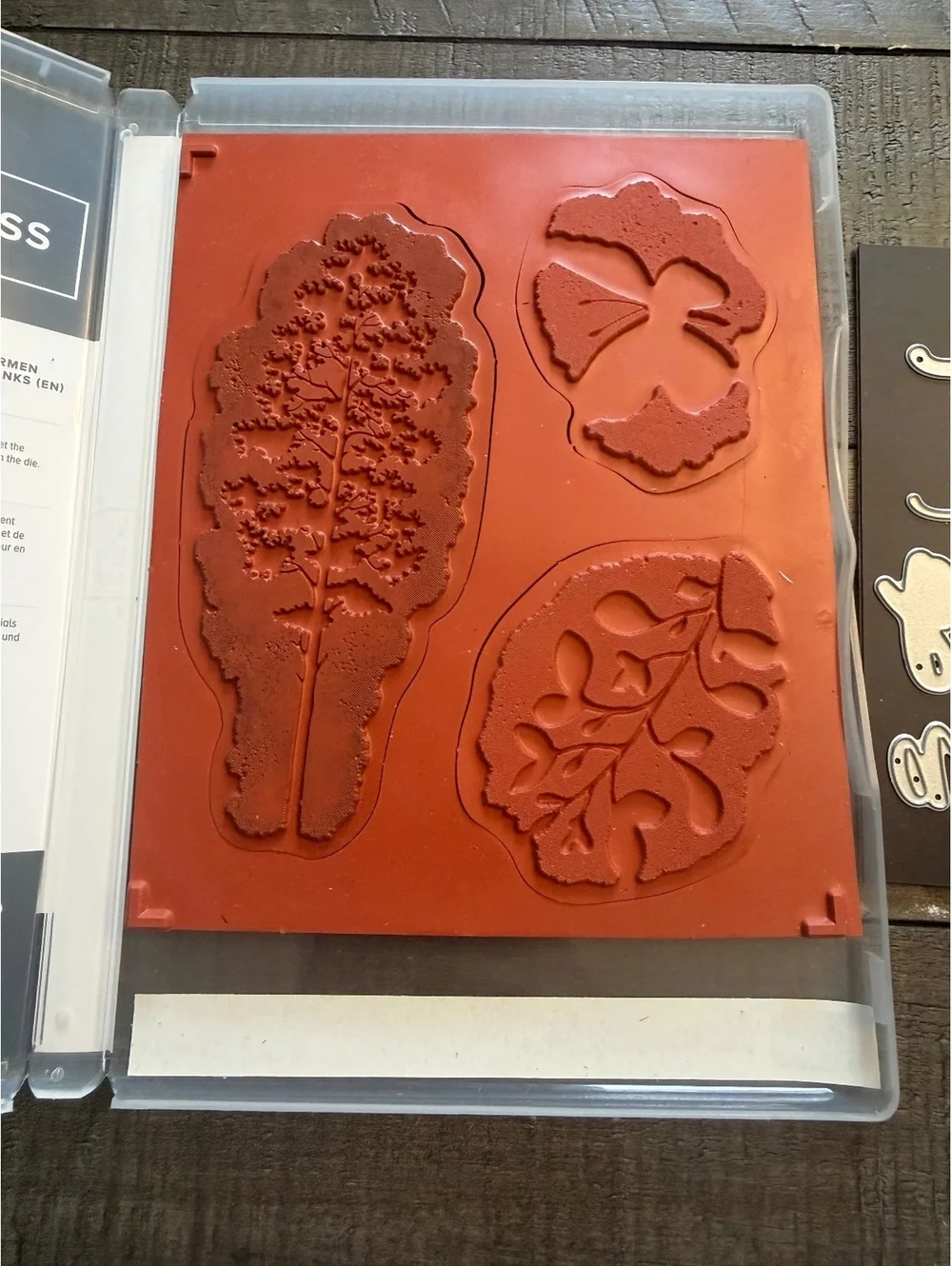 Stampin’ Up Amazing Silhouettes stamp set and Amazing Thanks Dies die cut set